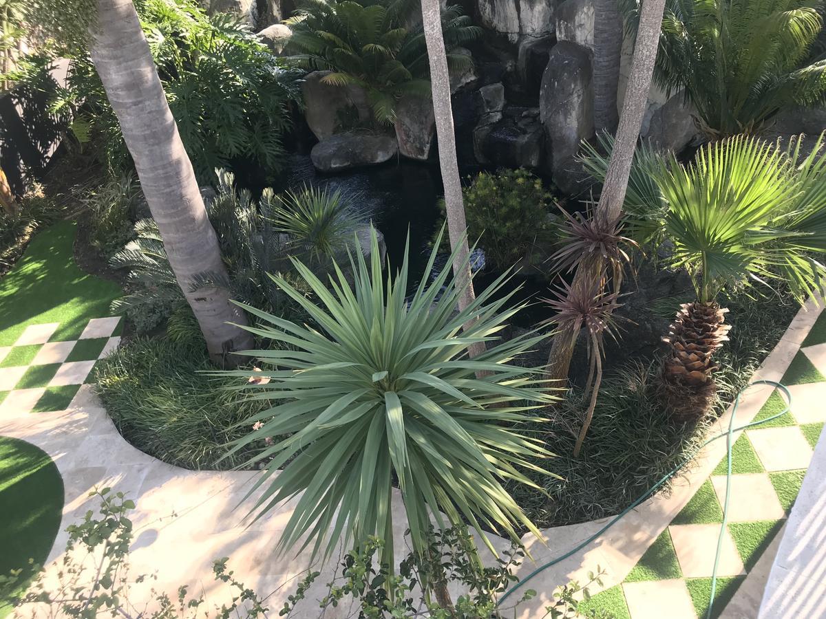 ヘルマナス Francolin Manor Bed & Breakfast エクステリア 写真